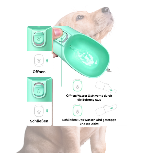 HydroPaw 🐶🚰