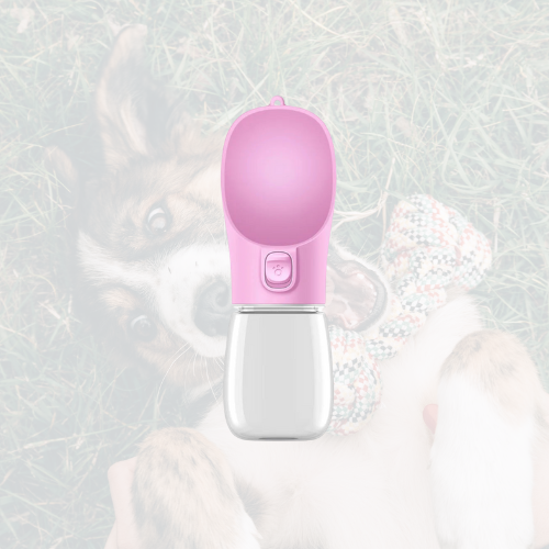 HydroPaw 🐶🚰
