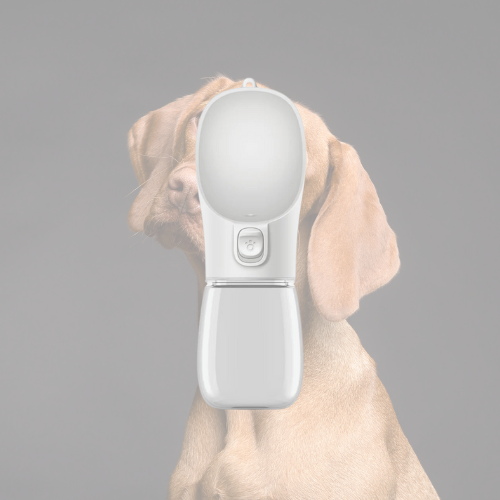 HydroPaw 🐶🚰