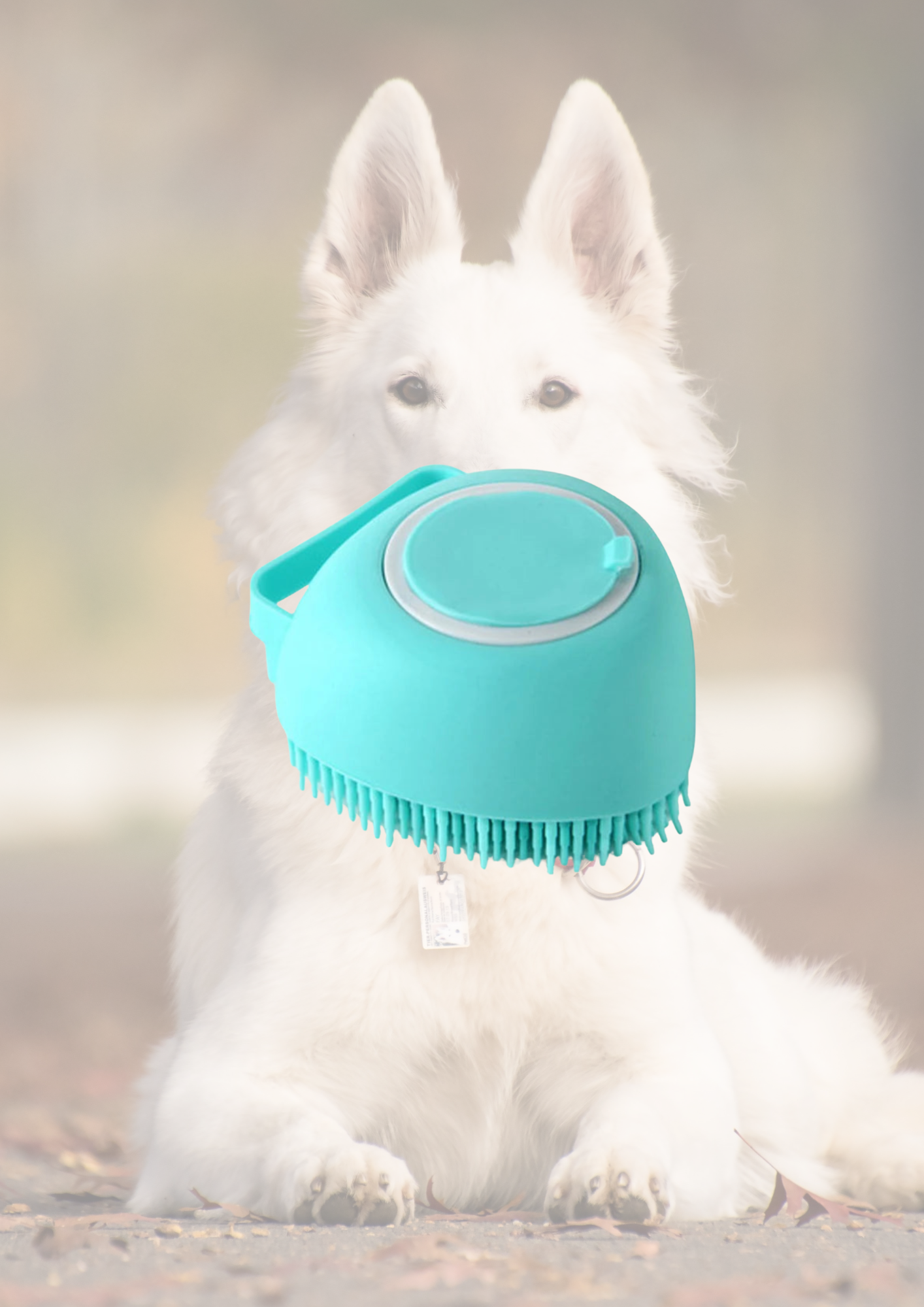 PawPerfect WashBuddy 🐾💧