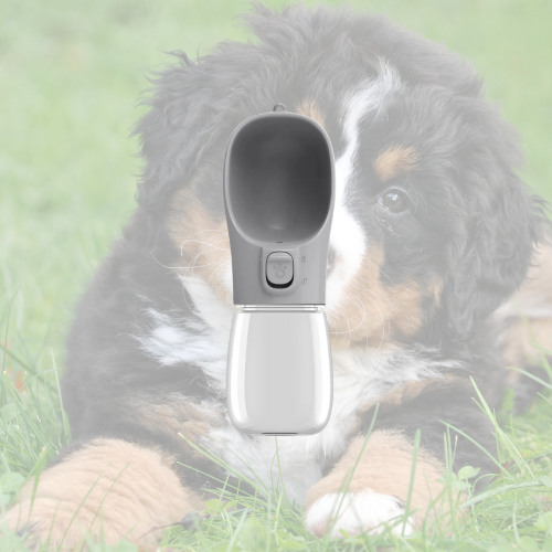 HydroPaw 🐶🚰