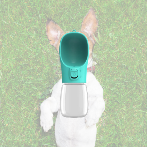 HydroPaw 🐶🚰
