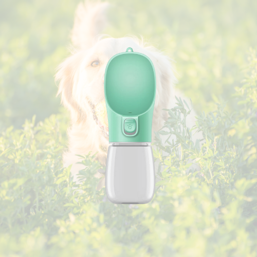 HydroPaw 🐶🚰