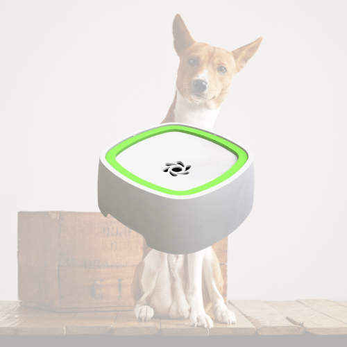 Els Pet Trinkwassernapf für Hunde und Katzen