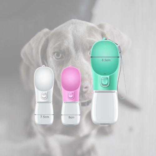 HydroPaw 🐶🚰