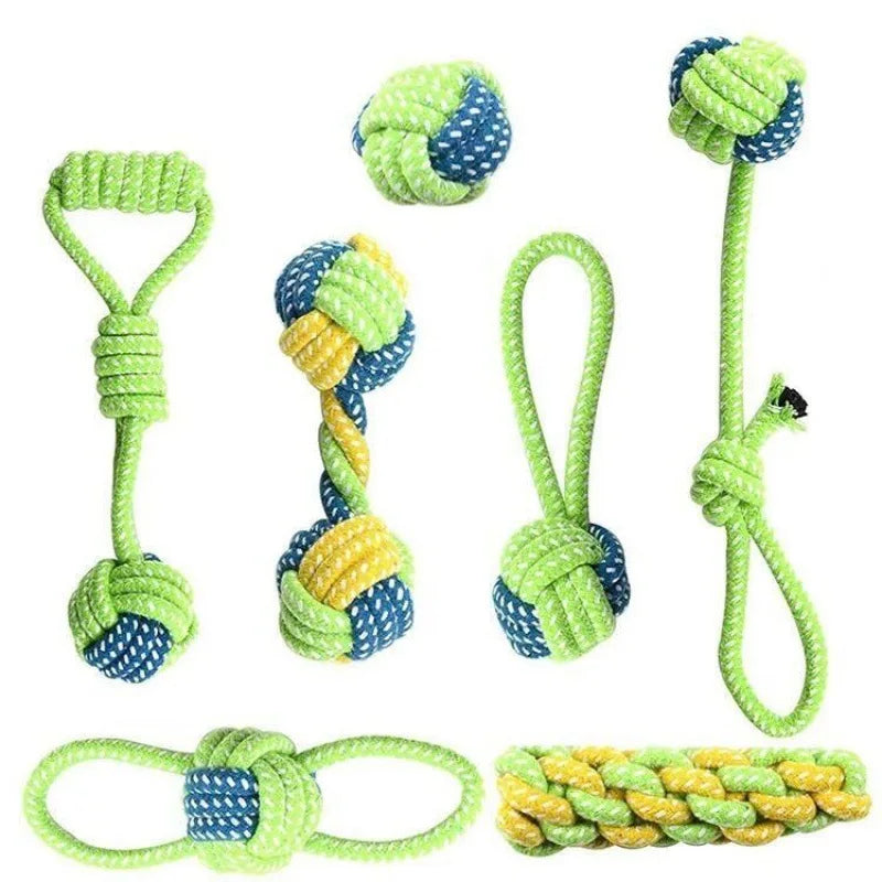Haustier-Hundespielzeug set