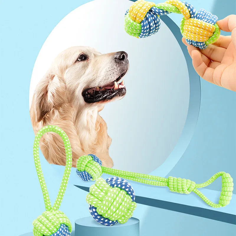 Haustier-Hundespielzeug set