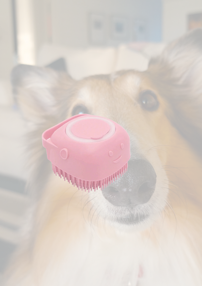 PawPerfect WashBuddy 🐾💧