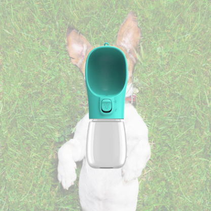 HydroPaw 🐶🚰