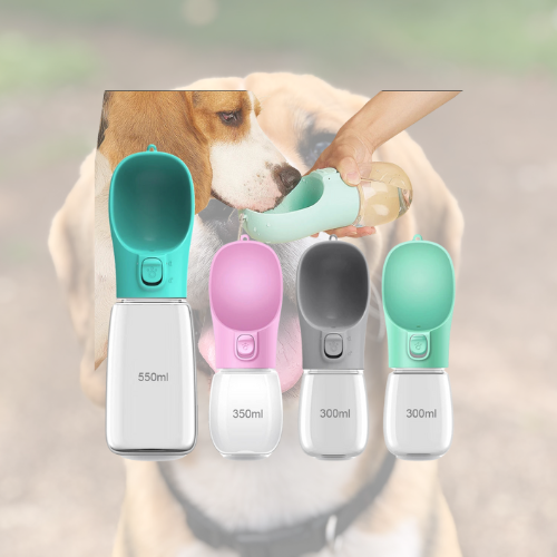 HydroPaw 🐶🚰