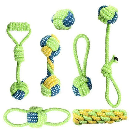 Haustier-Hundespielzeug set